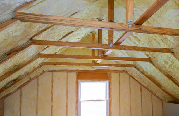 Best Specialized Insulation Services in Lake Cassidy, WA