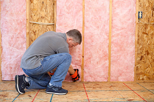 Best Residential Insulation in Lake Cassidy, WA