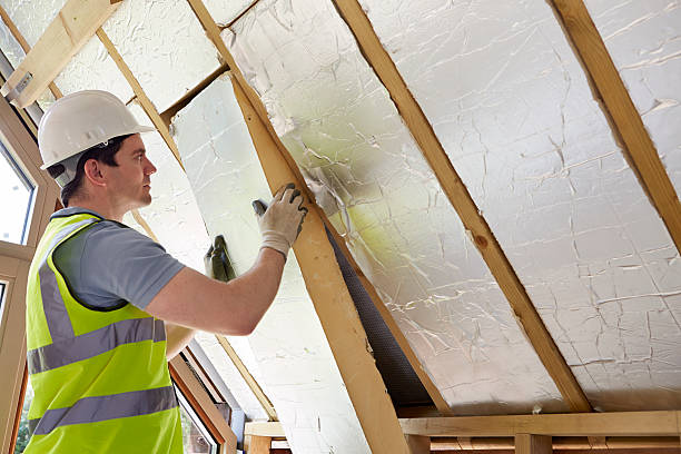 Best Spray Foam Insulation in Lake Cassidy, WA