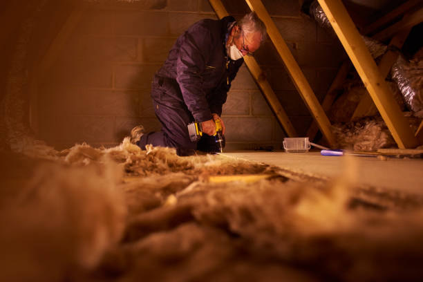 Types of Insulation We Offer in Lake Cassidy, WA